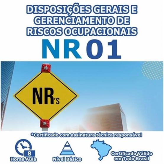 Curso NR 1 Reciclagem - Disposições Gerais e Gerenciamento de Riscos Ocupacionais 