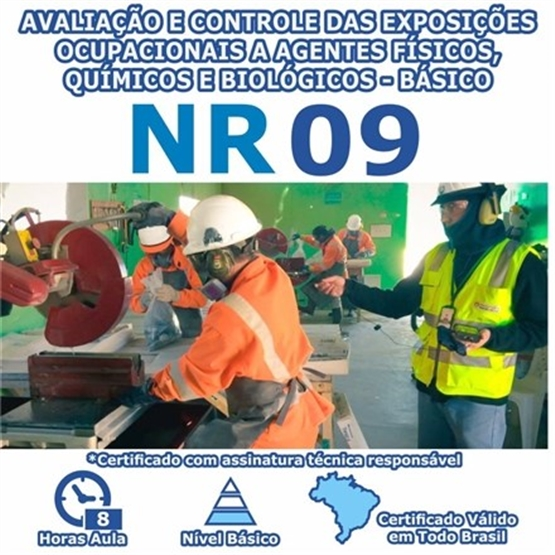 Curso NR 9 - Avaliação E Controle Das Exposições Ocupacionais A Agentes Físicos, Químicos E Biológicos - Básico